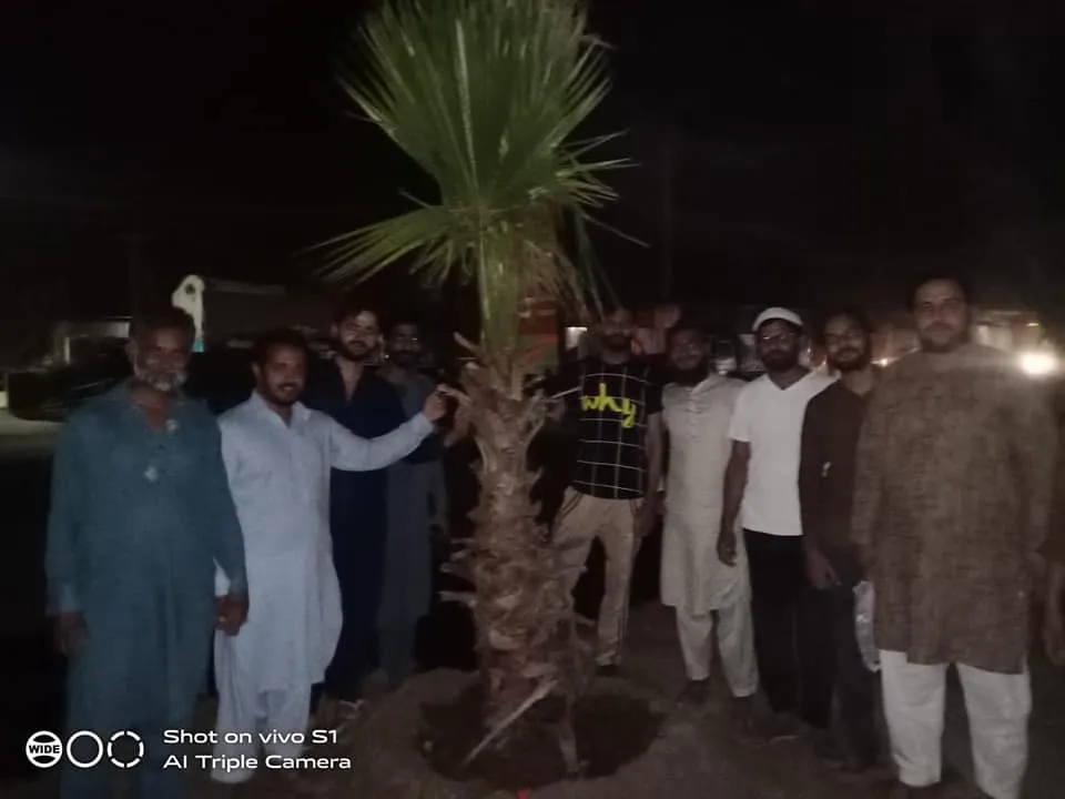 Green Seekers Activity